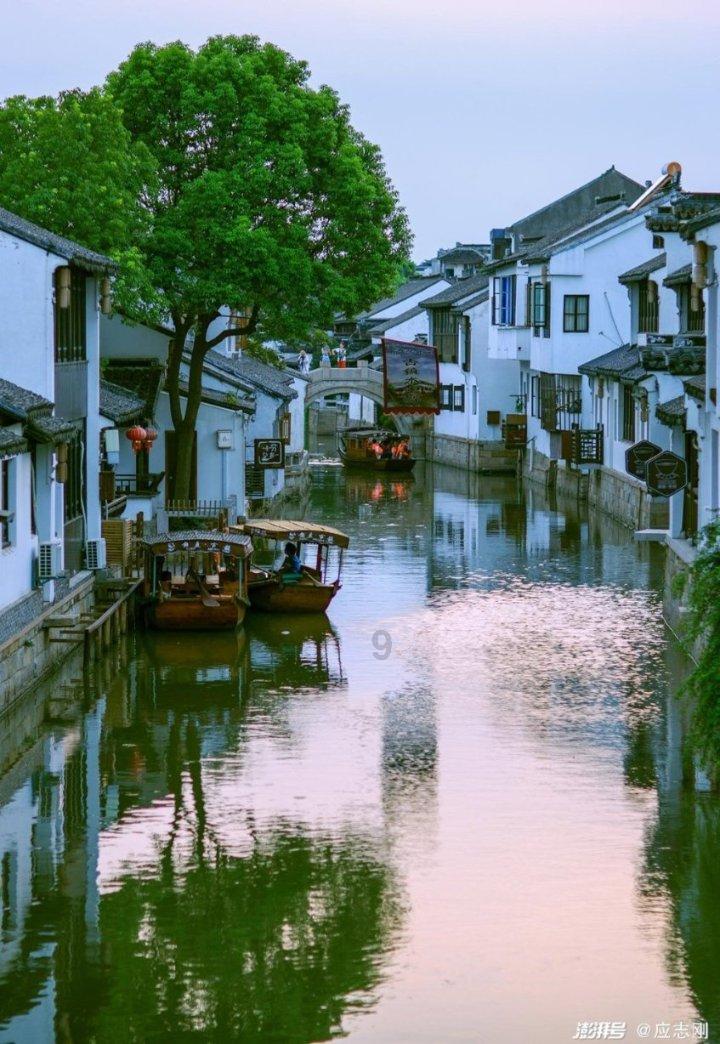 陈哲江：坚持以党建引领聚合力 推动“百千万工程”不断体现新变化取得新成效